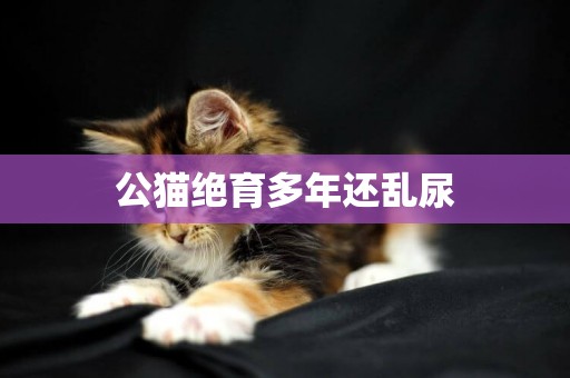 公猫绝育多年还乱尿